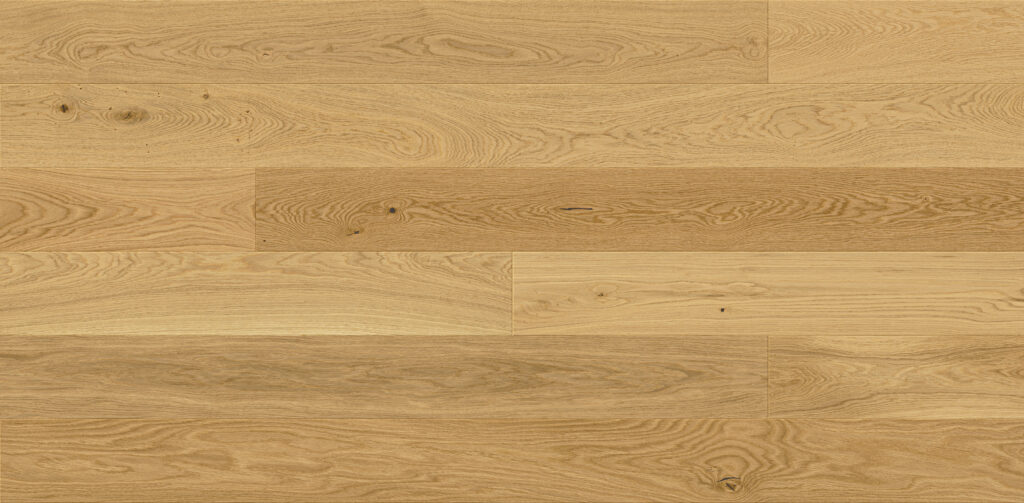 Oak Cortina